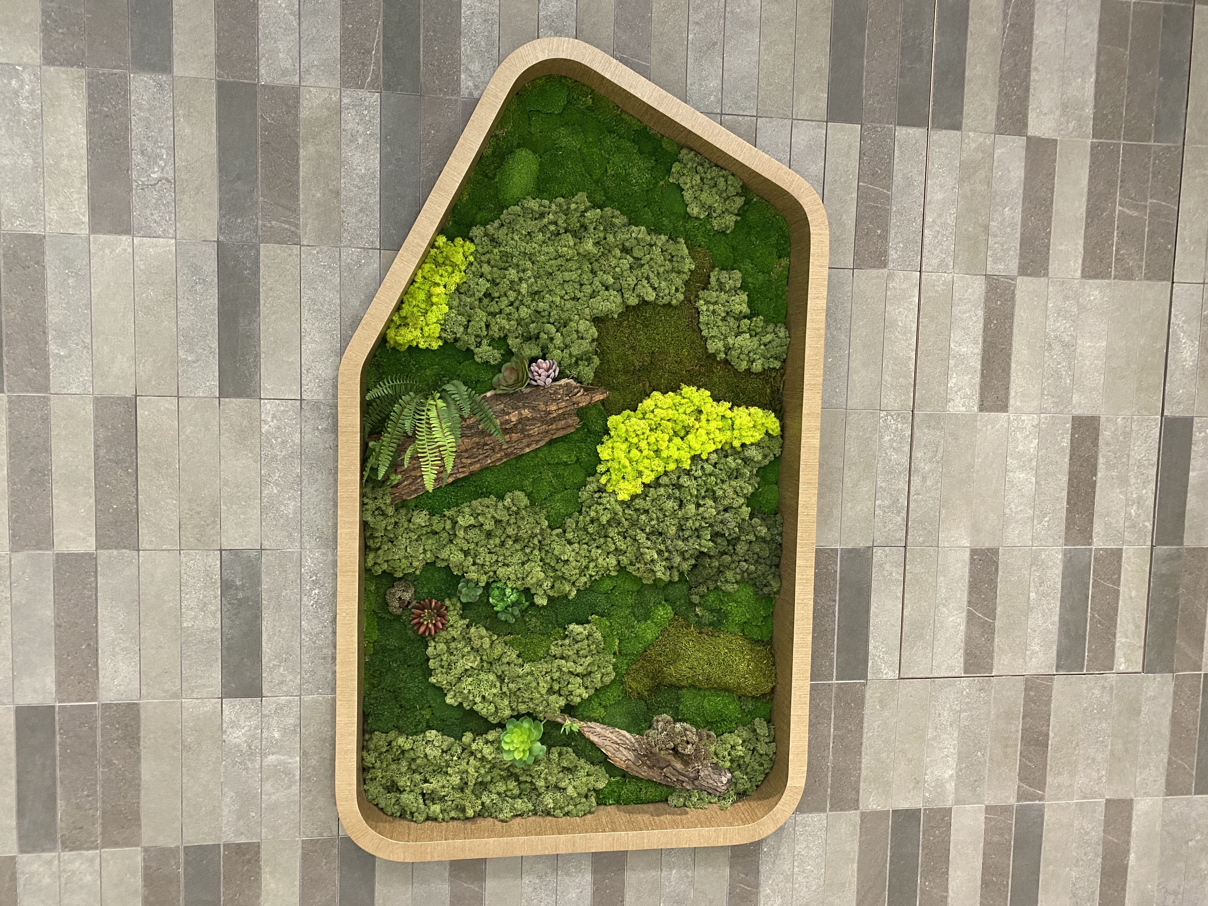 Tonkin Street (Show Flat) 7