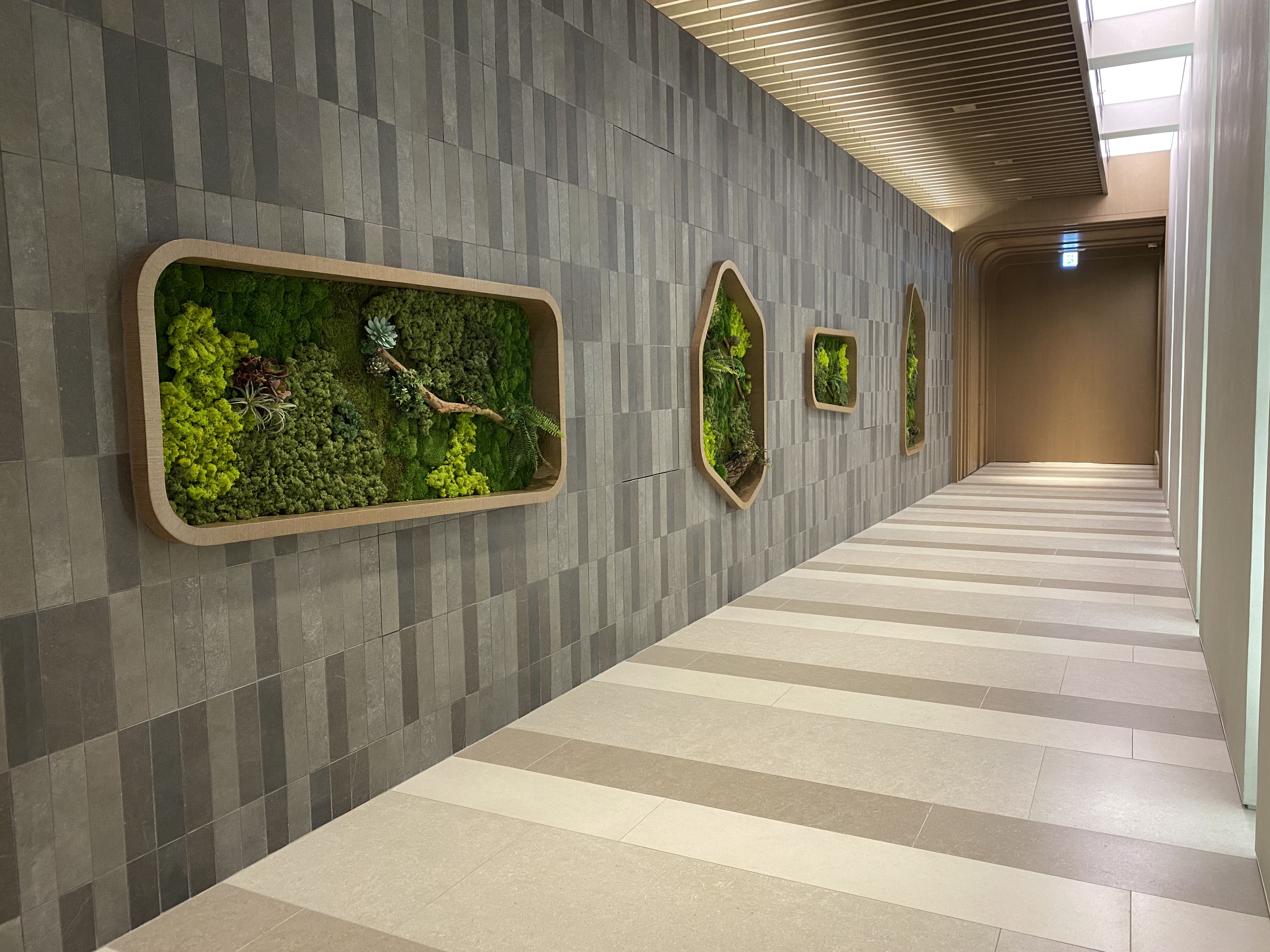 Tonkin Street (Show Flat) 10
