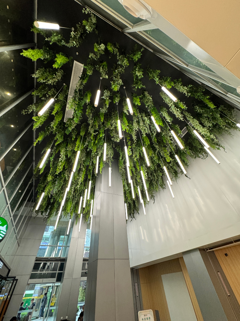 Link Central Walk 5