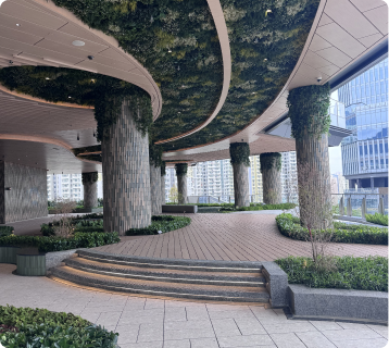 Kai Tak Sogo 8