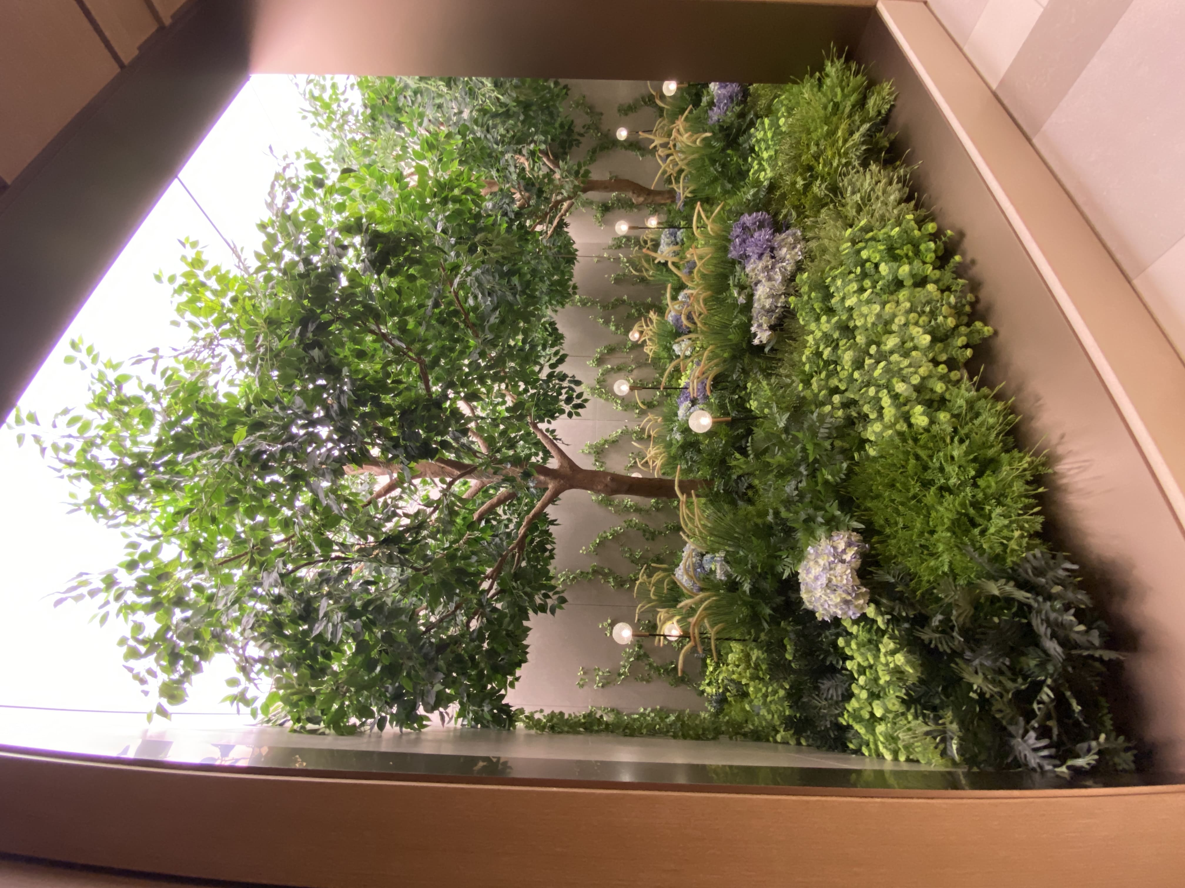 Tonkin Street (Show Flat) 3
