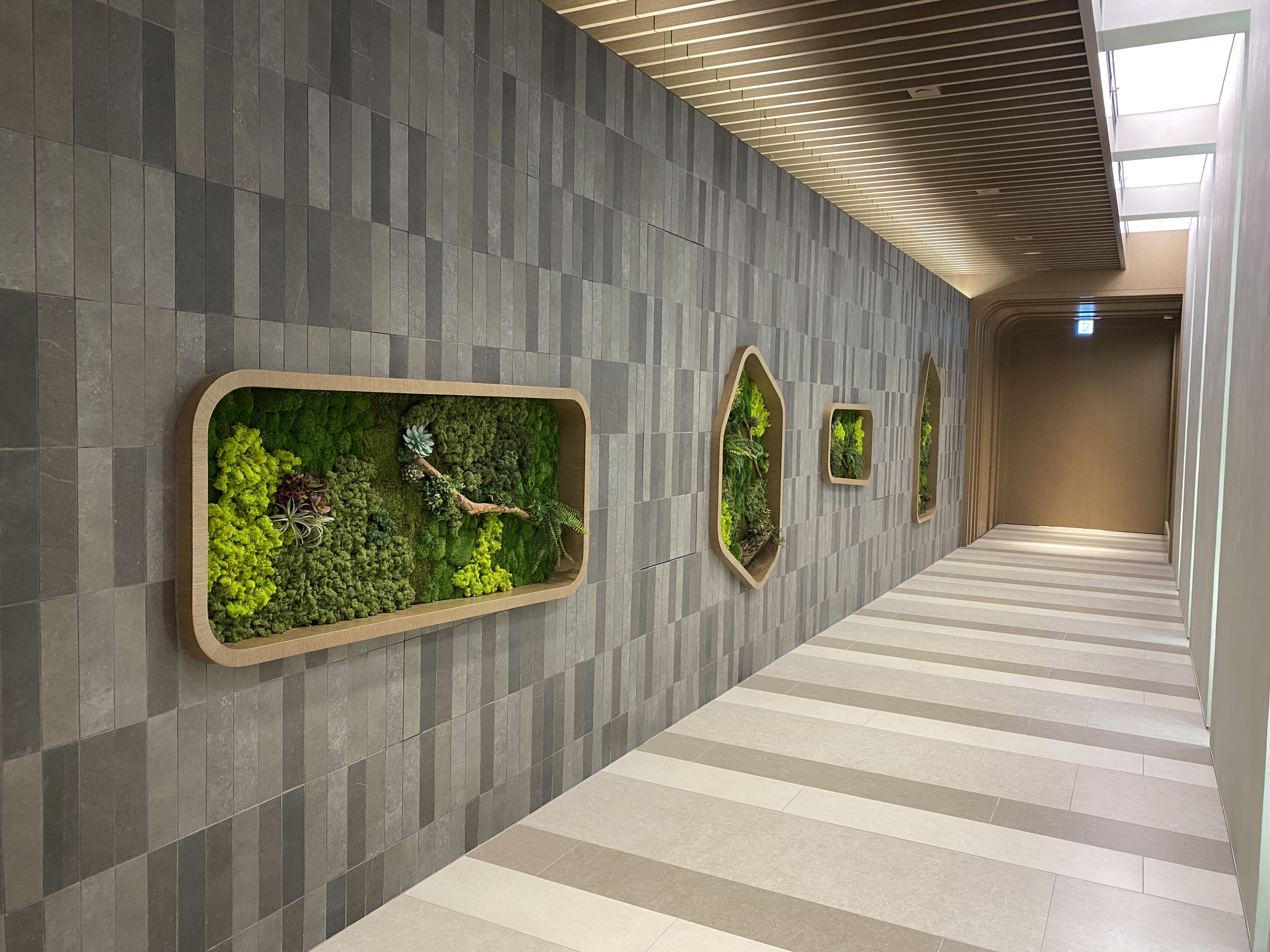 Tonkin Street (Show Flat) 5