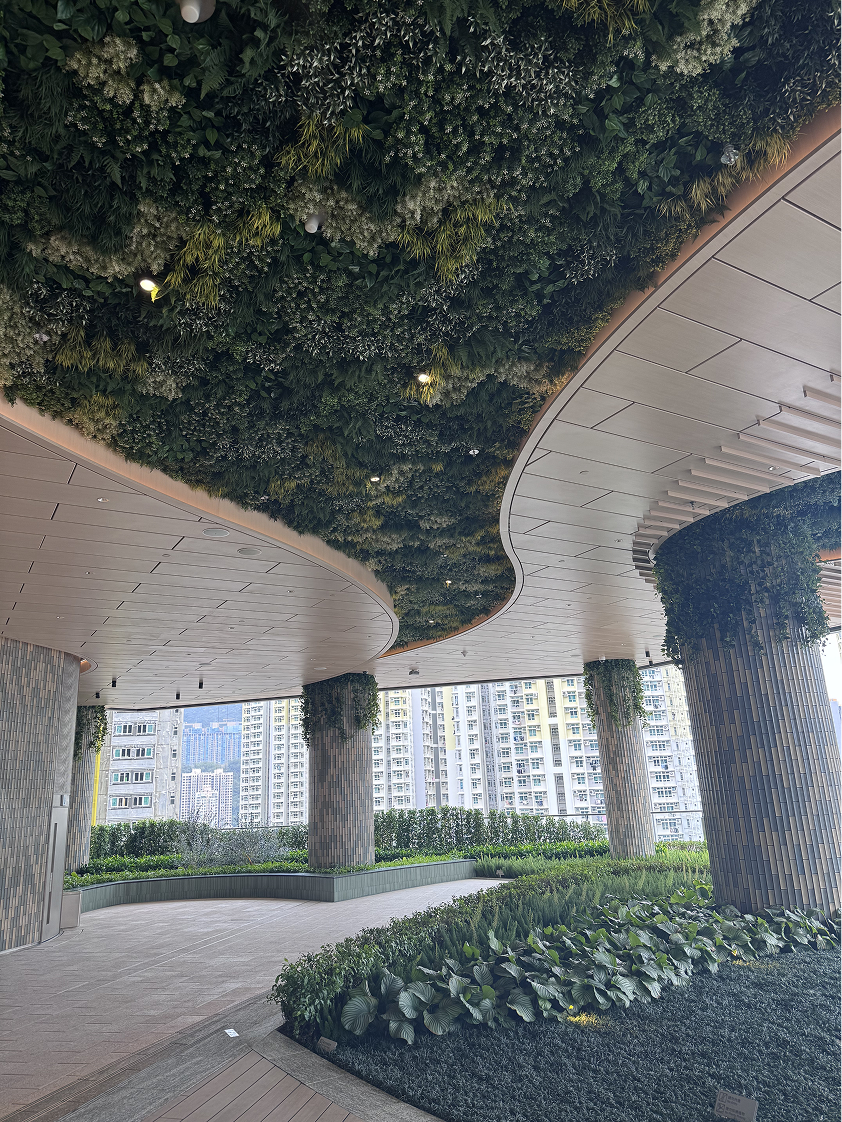 Kai Tak Sogo 4