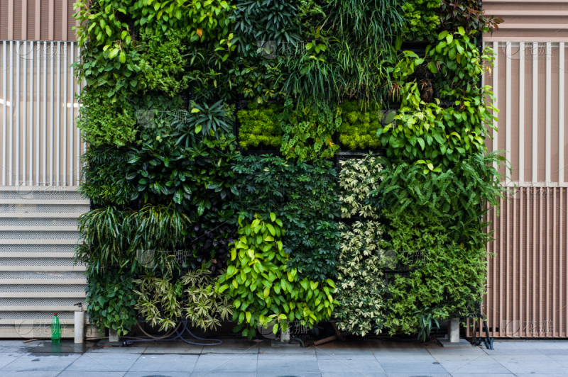 Artificial green wall