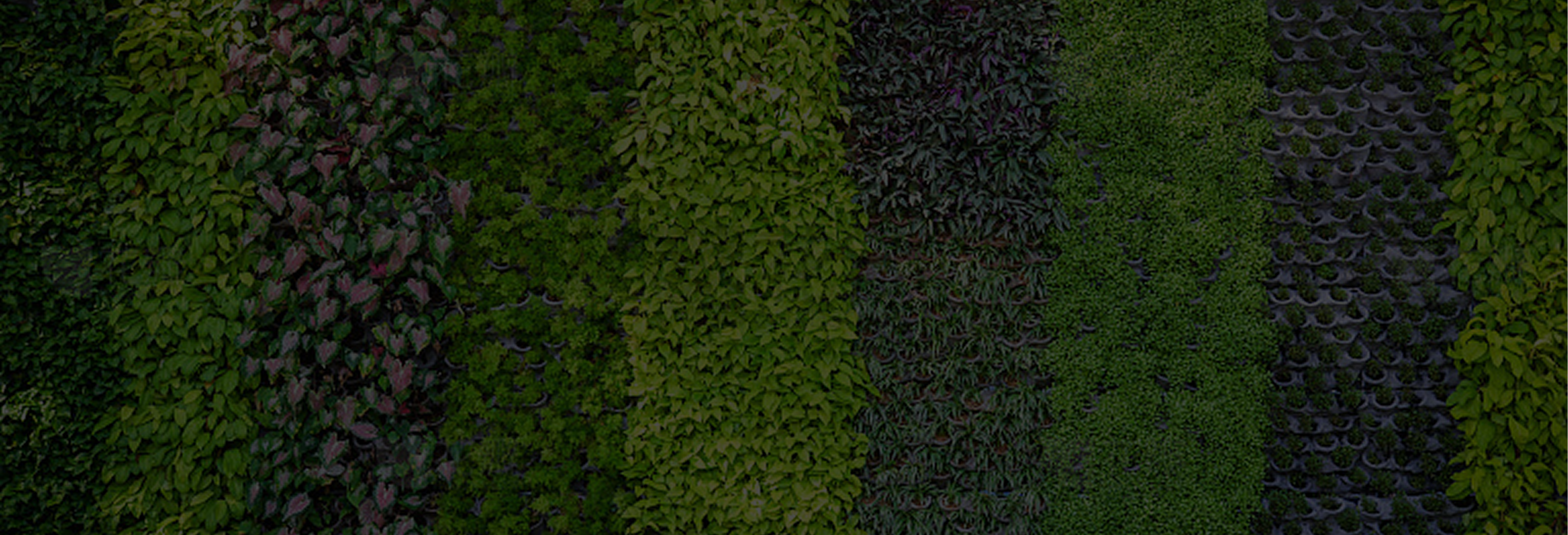 Hero Background